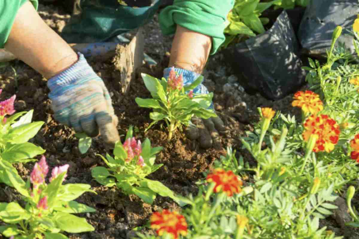 Il giardino non deve essere solo luogo per pranzi e cene, ma uno spazio polifunzionale dove ritagliarsi momenti di relax