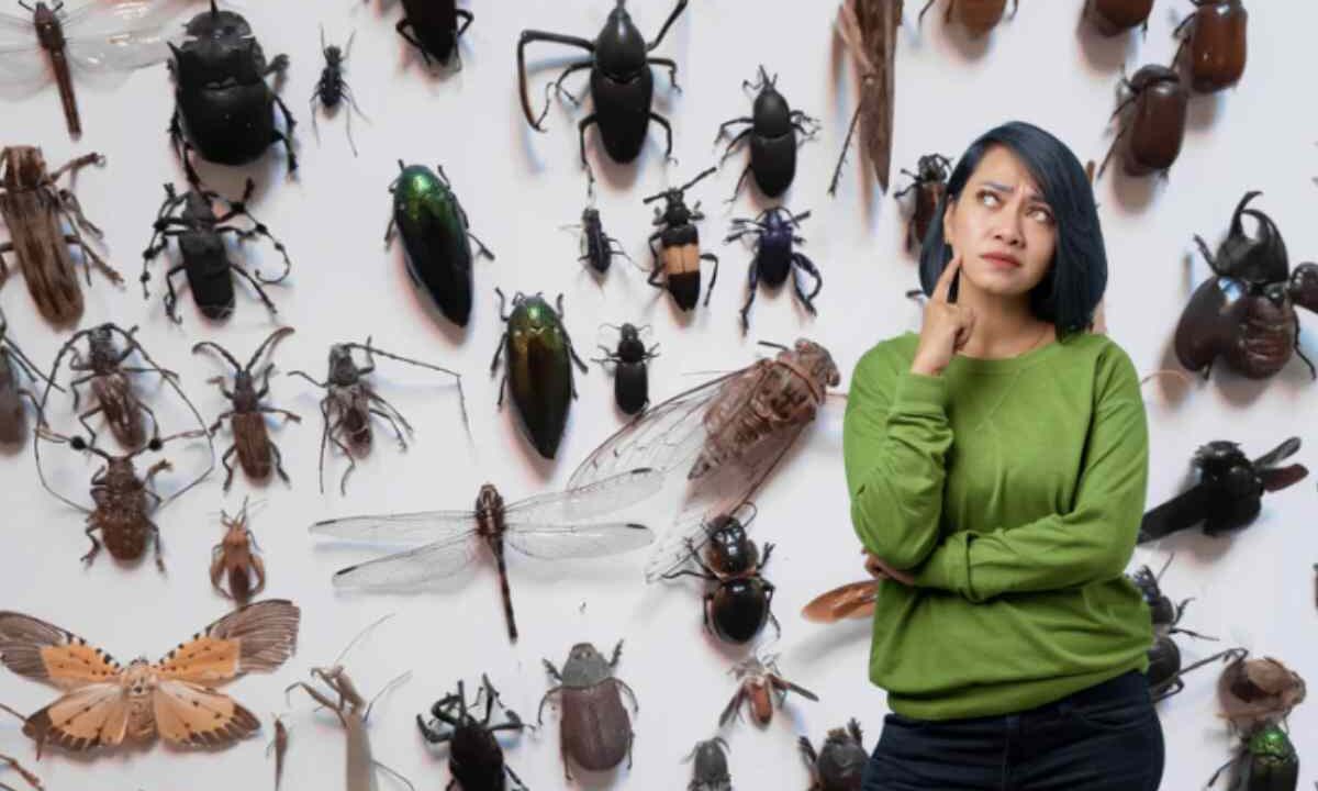 Questi animaletti, noti scientificamente come Lepisma saccharina, sono insetti lucifughi che prediligono gli ambienti umidi e poco arieggiati