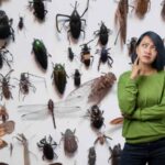Questi animaletti, noti scientificamente come Lepisma saccharina, sono insetti lucifughi che prediligono gli ambienti umidi e poco arieggiati