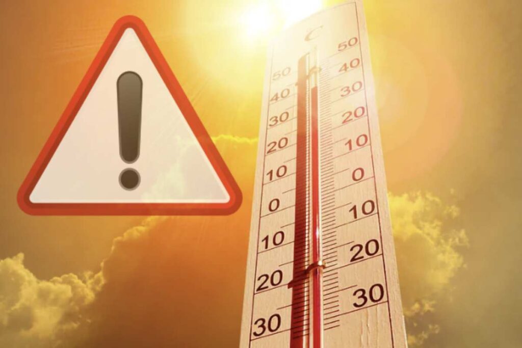 L’azione combinata di caldo intenso, umidità elevata e ambienti poco ventilati può compromettere il naturale meccanismo di termoregolazione