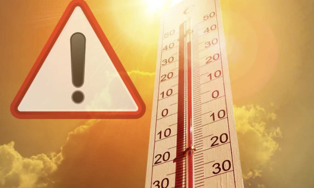L’azione combinata di caldo intenso, umidità elevata e ambienti poco ventilati può compromettere il naturale meccanismo di termoregolazione