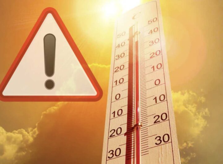 L’azione combinata di caldo intenso, umidità elevata e ambienti poco ventilati può compromettere il naturale meccanismo di termoregolazione