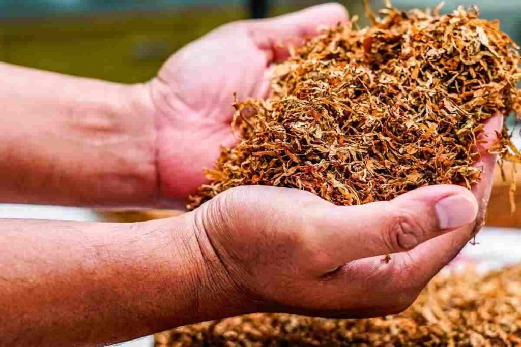 Europa a caccia di soldi, maxi rincaro su sigarette e tabacco:, ecco i dettagli