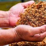 Europa a caccia di soldi, maxi rincaro su sigarette e tabacco:, ecco i dettagli
