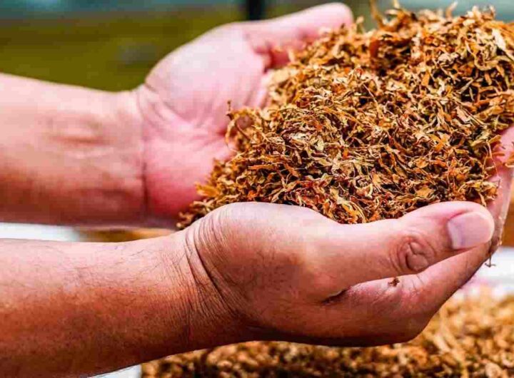 Europa a caccia di soldi, maxi rincaro su sigarette e tabacco:, ecco i dettagli