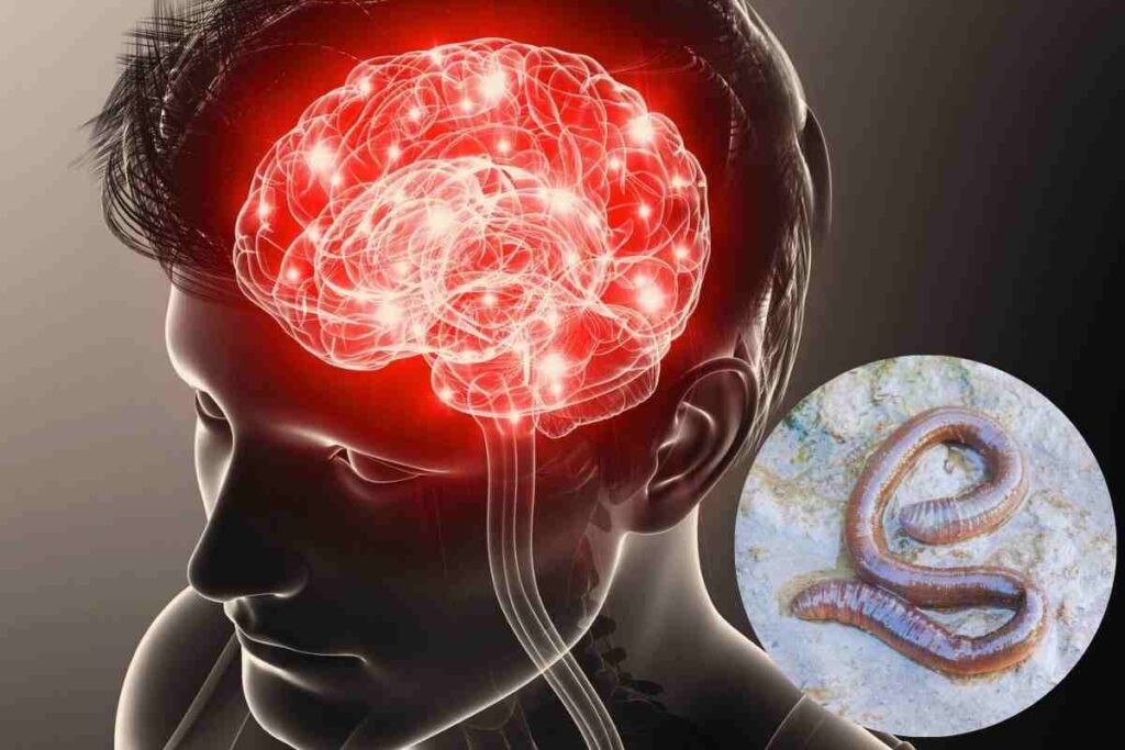 il verme che attacca il cervello