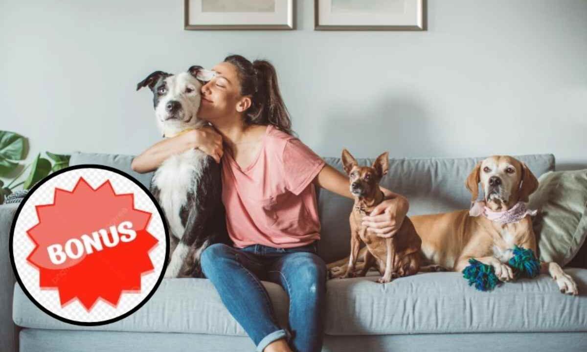 Il bonus Animali domestici