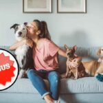 Il bonus Animali domestici