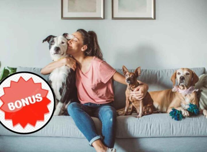 Il bonus Animali domestici