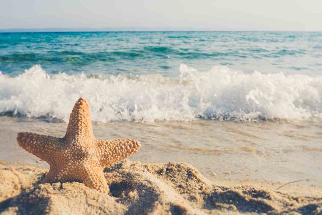 spiagge italiane che costano poco
