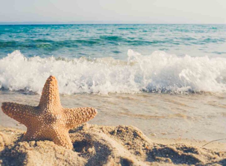 spiagge italiane che costano poco